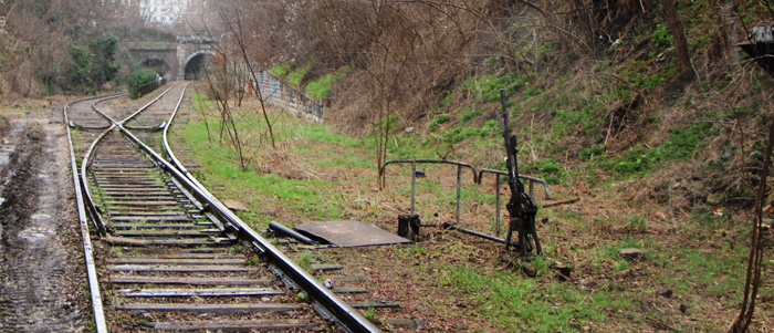 Petite ceinture dans le 13e